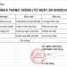 THỰC ĐƠN TUẦN 8 – NĂM HỌC 2025-2026
