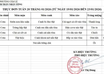 THỰC ĐƠN TUẦN 20 – NĂM HỌC 2025-2026 MỚI!