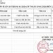 THỰC ĐƠN TUẦN 20 – NĂM HỌC 2025-2026 MỚI!